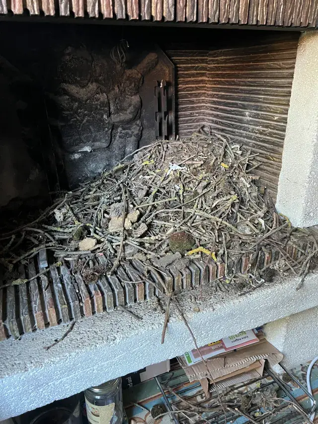 Conduit Obstrué